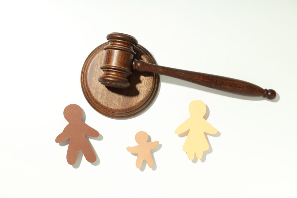 Child Custody Matter