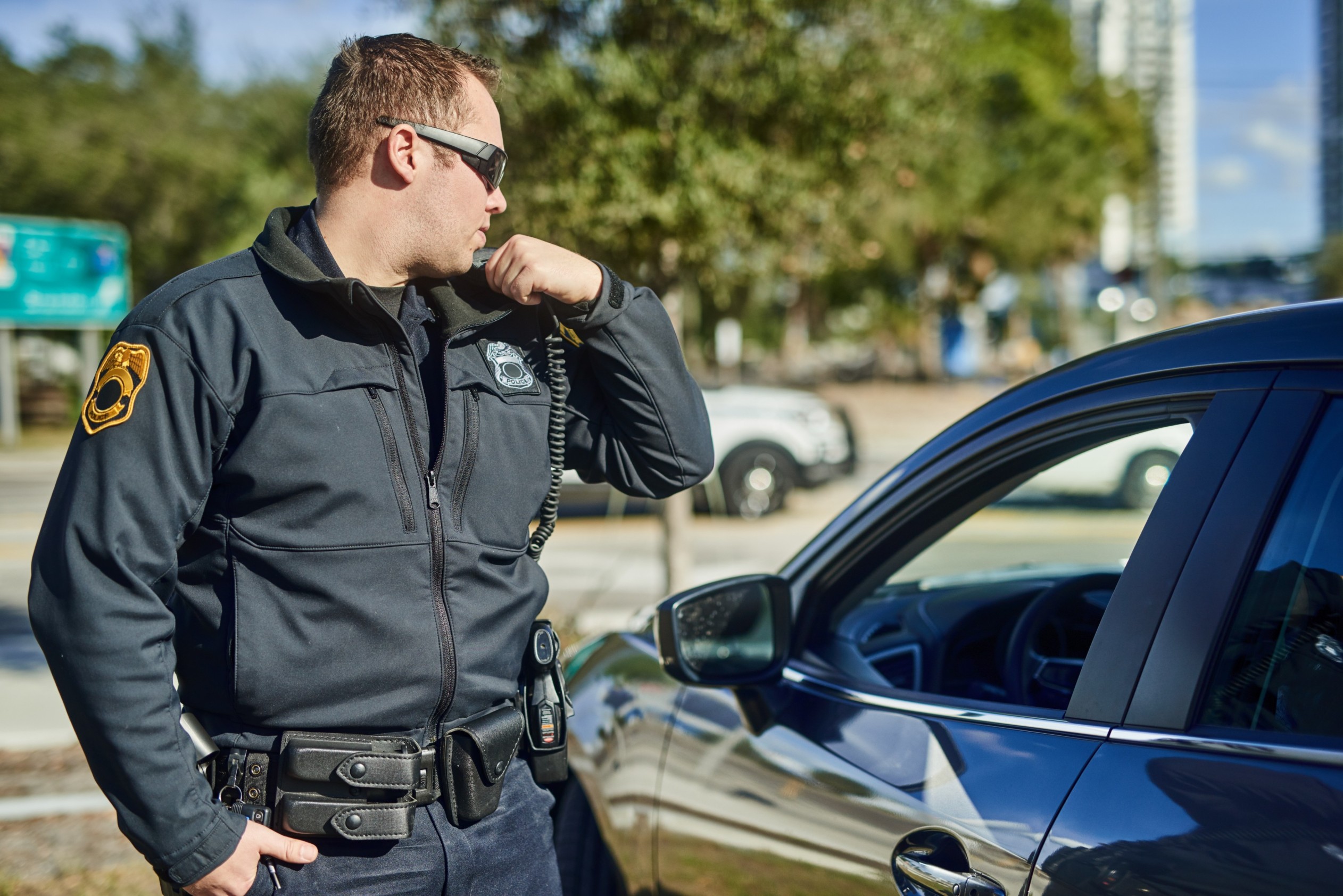 Traffic Stop